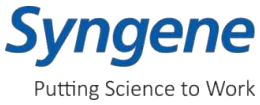 logo 100