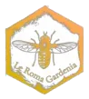 logo 247