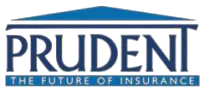 logo 251