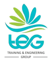 TEG Analytics